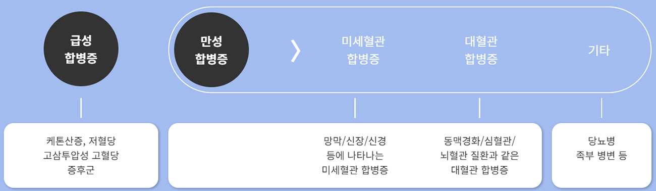 섹션이미지